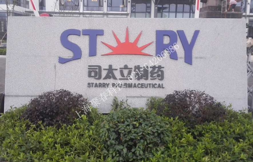 上海司太立两通道车行摆闸